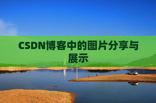 CSDN博客中的图片分享与展示